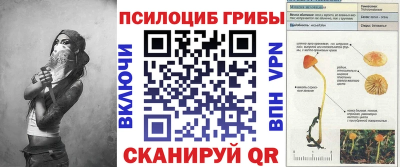 Псилоцибиновые грибы Magic Shrooms Купить закладки Мценск
