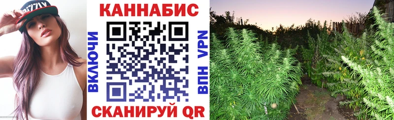 Купить  Мценск  МАРИХУАНА сатива 